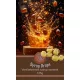 Syrup Drops - Kávéízesítő szirup Vaníliakrémes - 125g