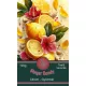 Ginger Candy - Gyömbéres-Citromos Szálas Teafűkeverék 100g