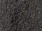 Tea O'Clock fekete teafű 100g