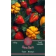 Bora Bora - Teafűkeverék 100g